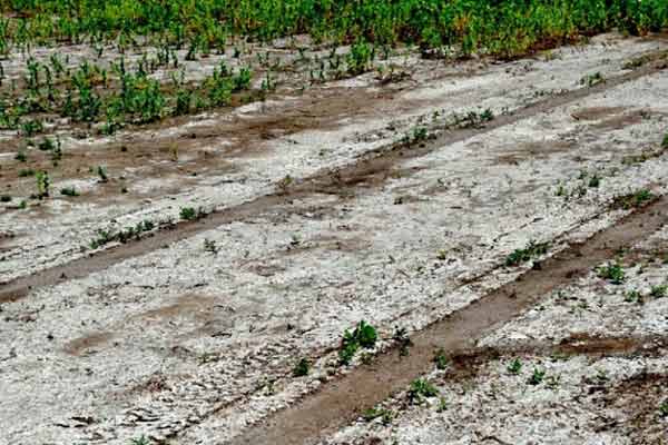 آبشویی برای اصلاح شوری خاک و فرآیند هدایتی در خاک های شور